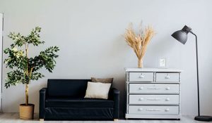 Small black couch between a dresser and floor plant