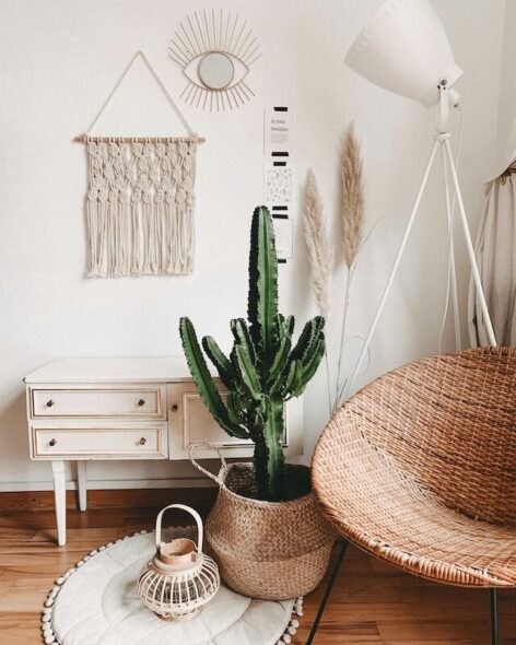 Swinging chair in a corner next to a cactus